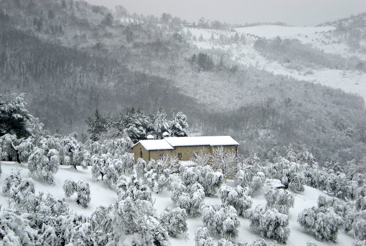 Il Bindozzino sotto la neve! Il podere del Bindozzino dopo un'abbondante nevicata