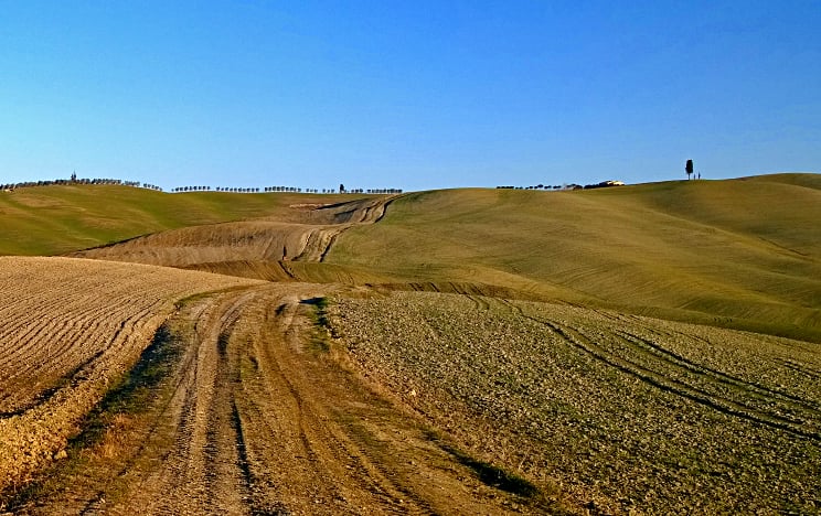 Scenario incantevole della Tuscany Crossing Tuscany Crossing, particolare di una strada sterrata
